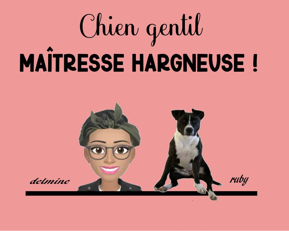 Plaque en Métal Personnalisée – Pour Portail, Chambre ou Animaux