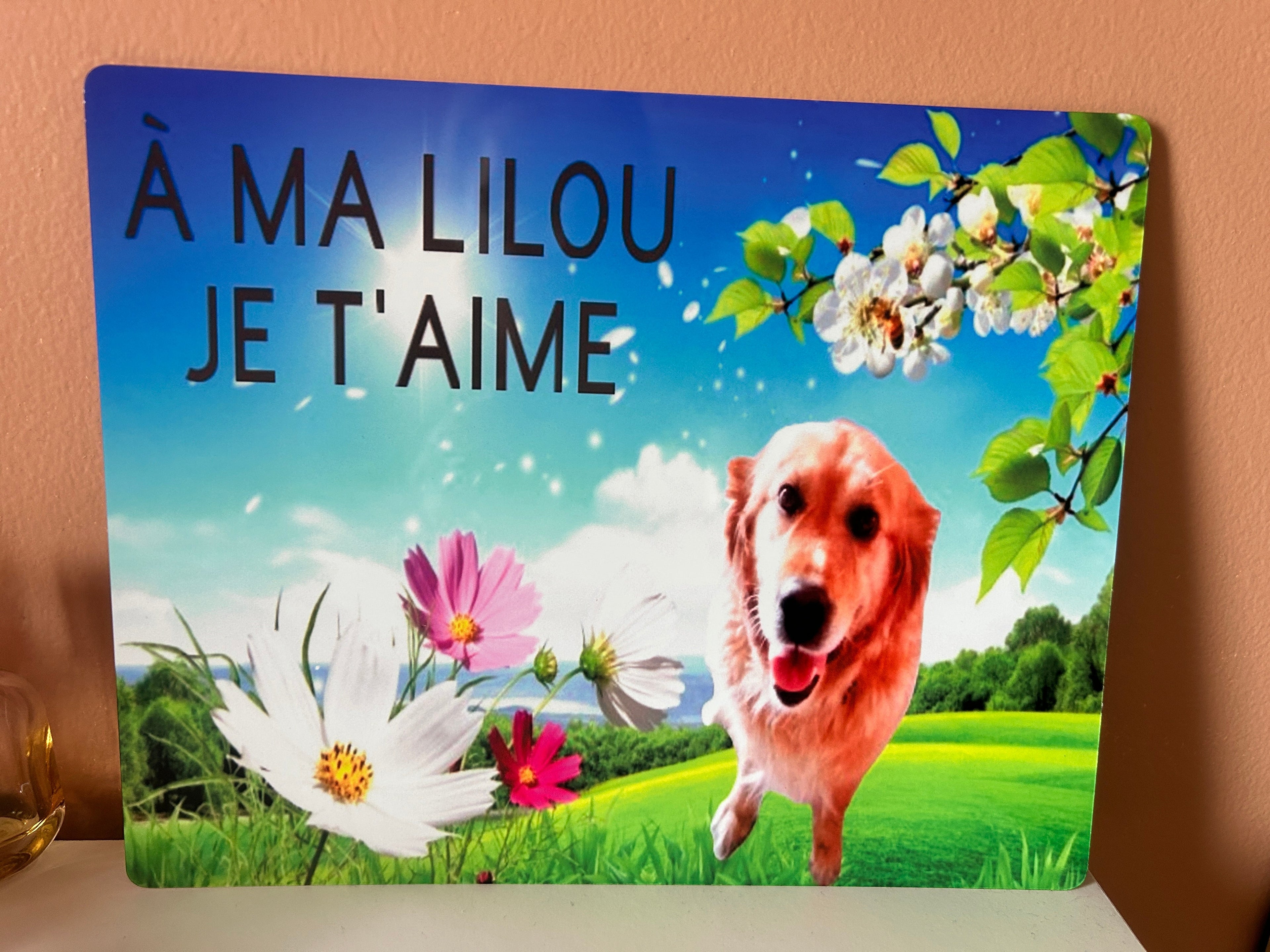 Plaque en Métal Personnalisée – Pour Portail, Chambre ou Animaux Ô cadeau unique