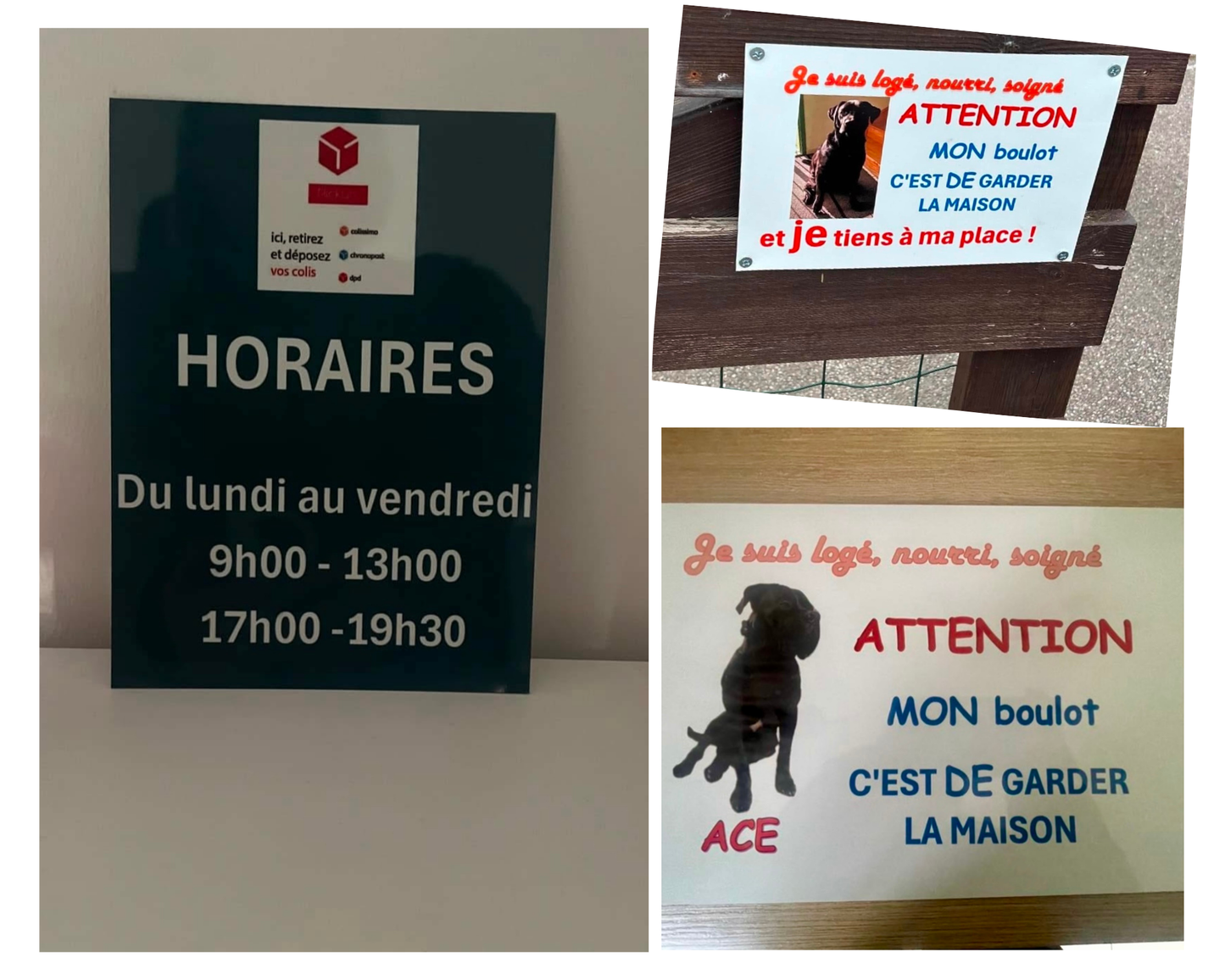 Plaque en Métal Personnalisée – Pour Portail, Chambre ou Animaux